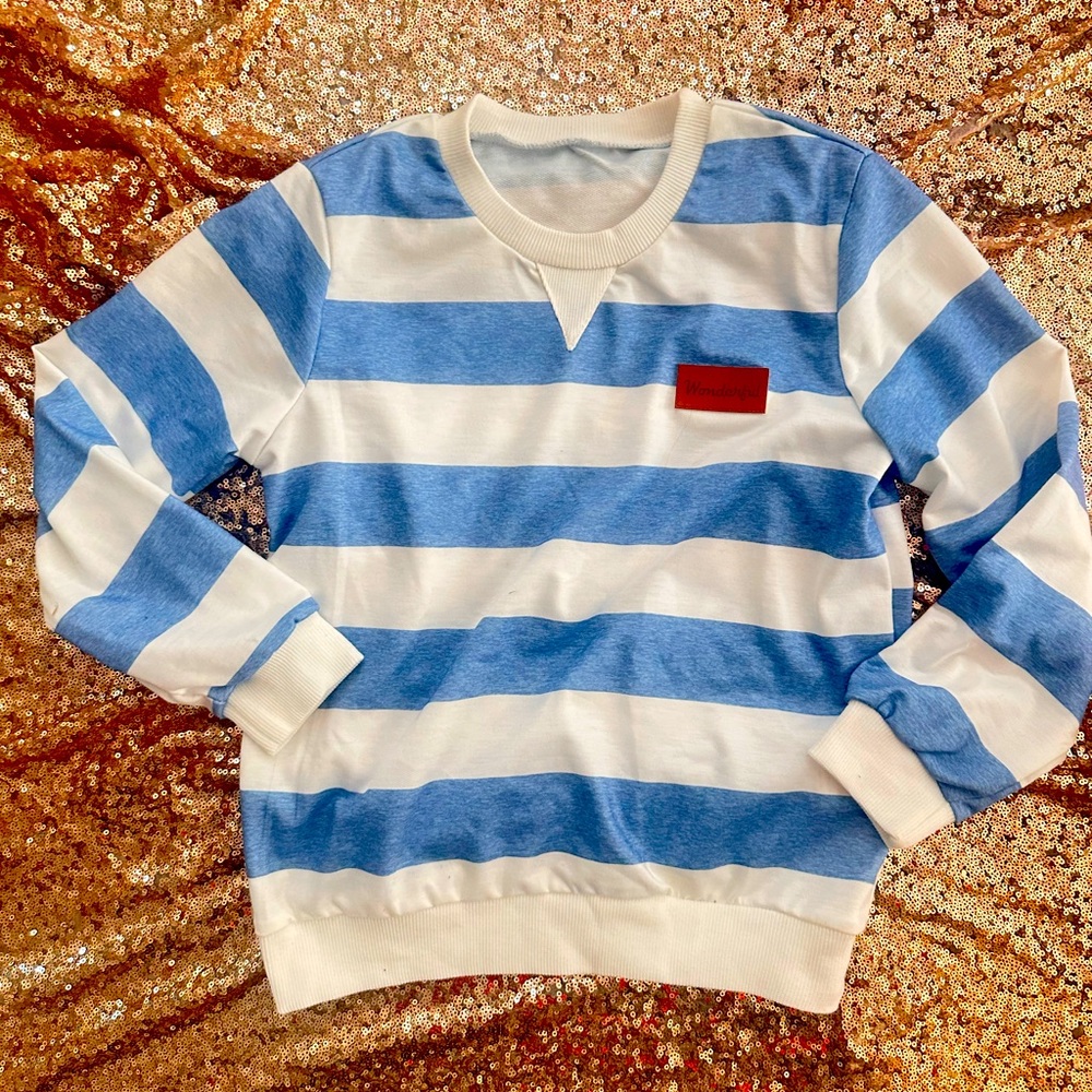 SHEIN nwt boys Blue and White Striped Crewneck Sweater
